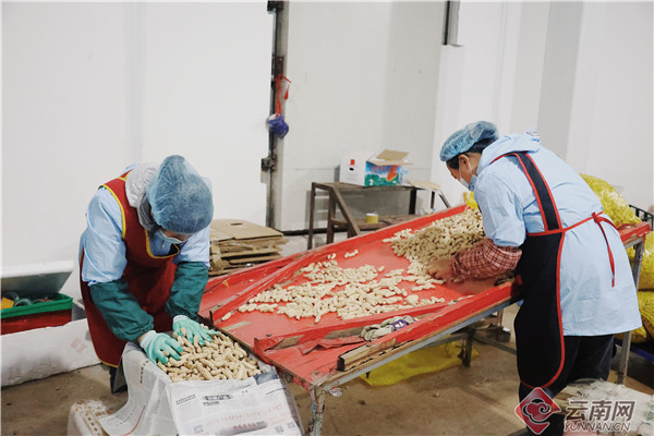 935711_670x670 935711_670x670