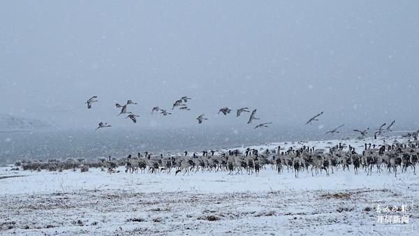 937304_670x670 937304_670x670