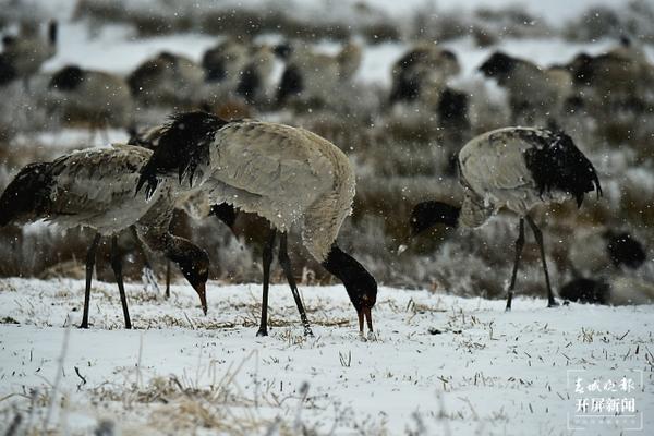 937306_670x670 937306_670x670