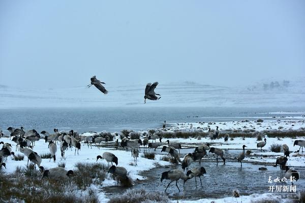 937307_670x670 937307_670x670