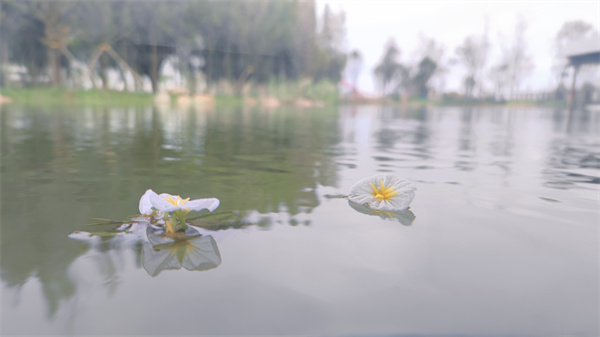 1646384474019 1646384474019