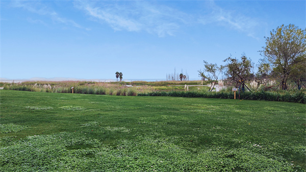 1646384474035 1646384474035