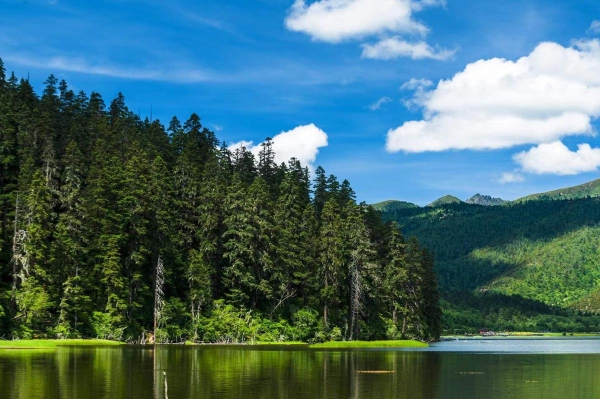 62d93ab4a310fd2bec97a8f4 62d93ab4a310fd2bec97a8f4