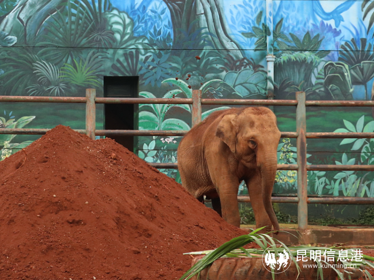 1186657_2048x2048 1186657_2048x2048