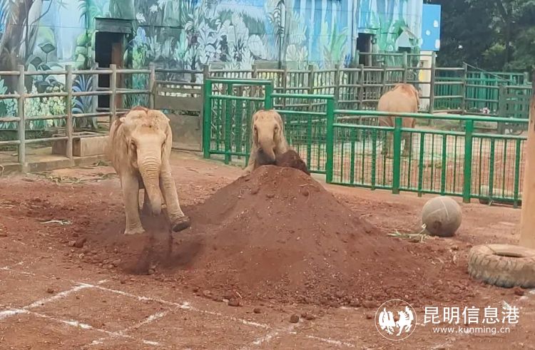 1186662_2048x2048 1186662_2048x2048