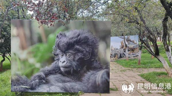 mmexport1667050814952(1) mmexport1667050814952(1)