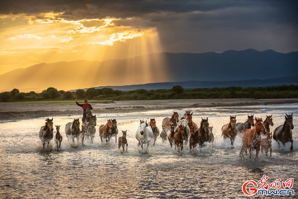 What is Xinjiang really like?