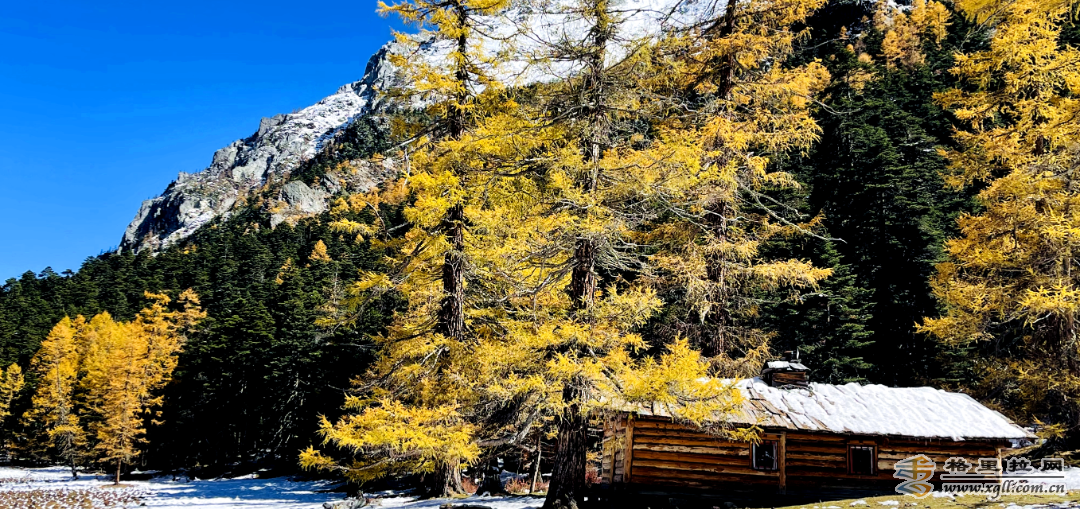 1224160_2048x2048 1224160_2048x2048