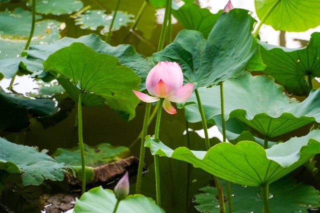 1450685_2048x2048 1450685_2048x2048