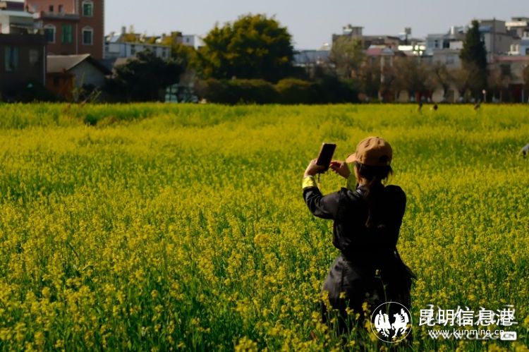 5 - 副本 5 - 副本