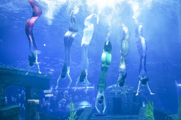 1791047_2048x2048 1791047_2048x2048