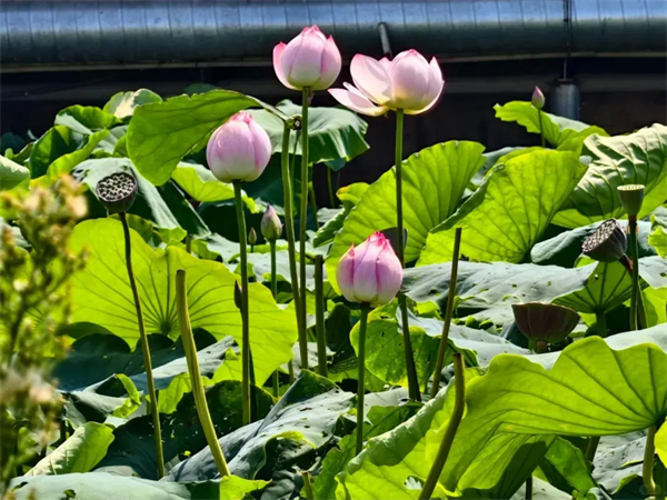 imgi_15_640 imgi_15_640