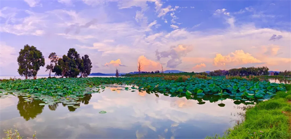 imgi_16_640 imgi_16_640