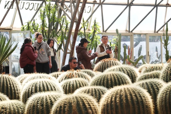 公園熱帶植物吸引游客拍照。記者黃曉松 攝
