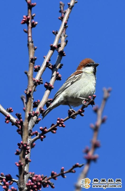 7c6d0faa-bc4c-49ee-bf34-7009c69ad418_batchwm 7c6d0faa-bc4c-49ee-bf34-7009c69ad418_batchwm