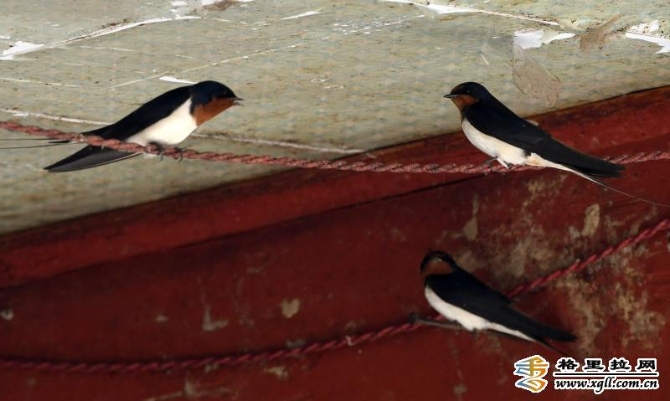 940e7ecb-9780-46f0-8011-5d4ea199d6da_batchwm 940e7ecb-9780-46f0-8011-5d4ea199d6da_batchwm