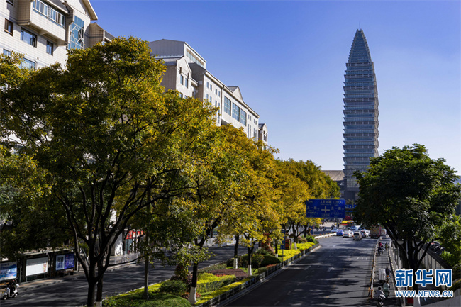 1310676520_16684727766301n