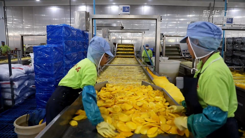 20250417786c0096305c469da34f45de87e69b1d_63de66418af64caa87ee7f7ee2bdb28d 20250417786c0096305c469da34f45de87e69b1d_63de66418af64caa87ee7f7ee2bdb28d